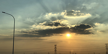 临澧悦旭技术优势
